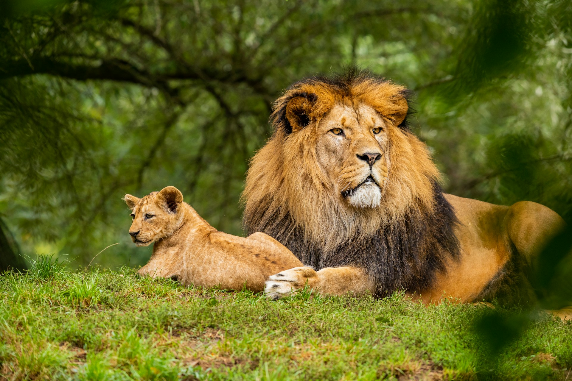 Amboseli National Park