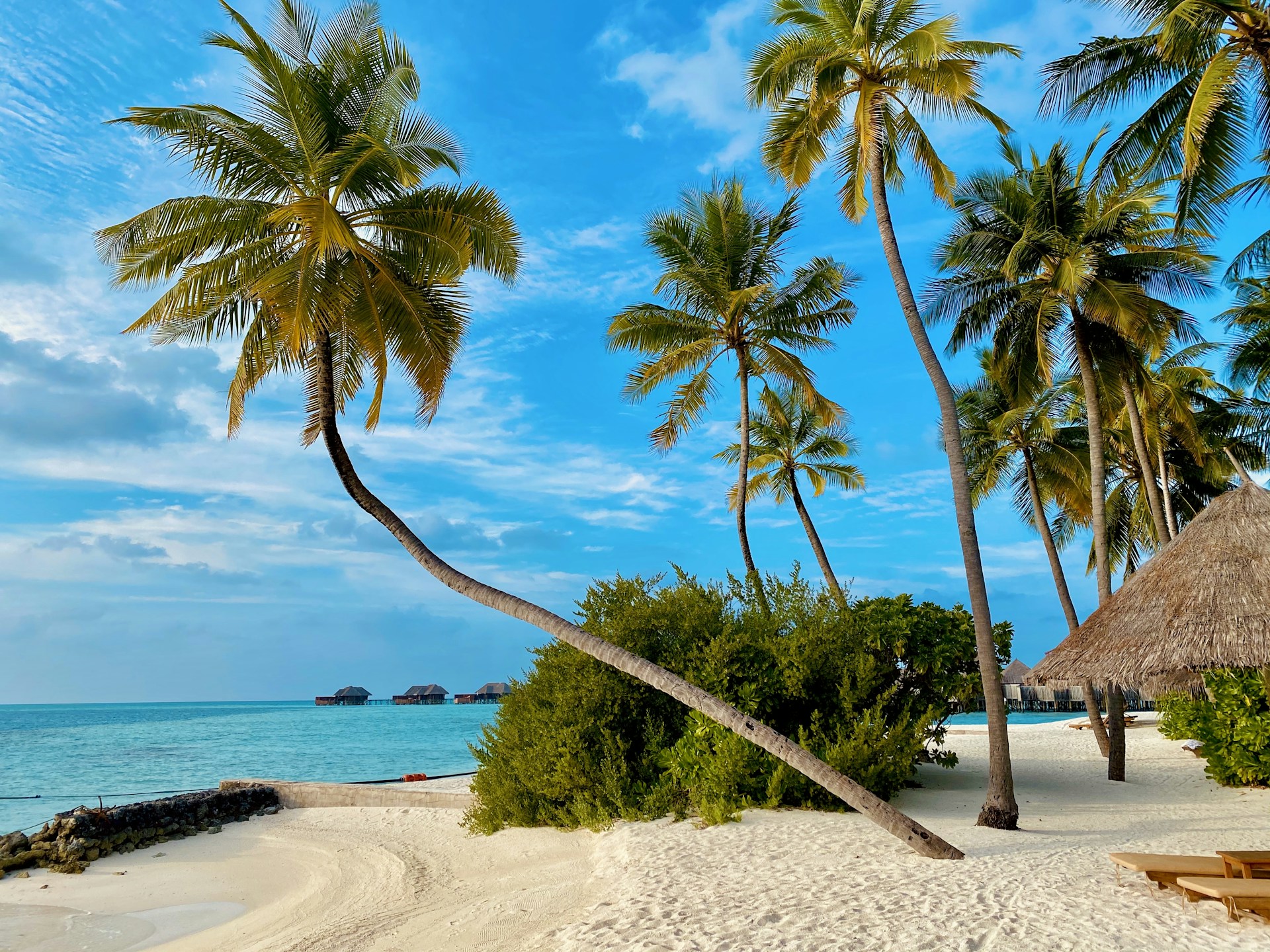 Zanzibar Beach Paradise